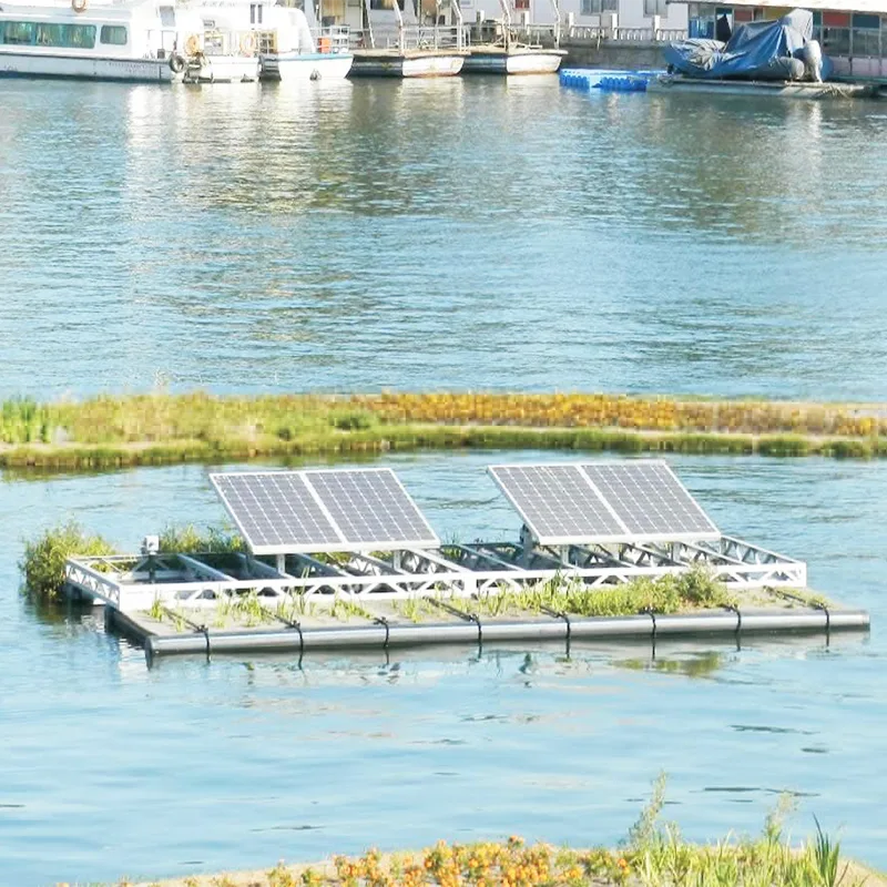 Progetto di gestione del fiume