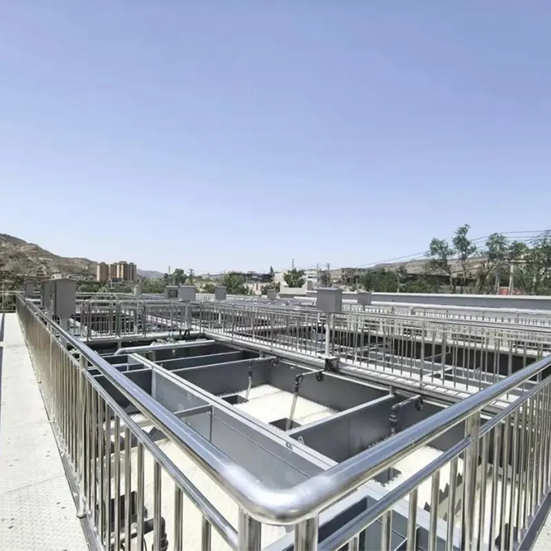 Ingegneria del trattamento biologico delle acque reflue urbane